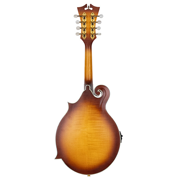 D’ANGELICO DAMFSSATWE Elektro Mandolin